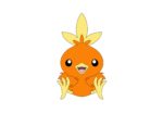 how to draw Pokémon torchic done and colored